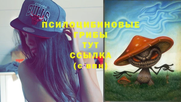 мдма Новозыбков